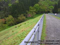 川内ダム / こうちだむ(新潟県)