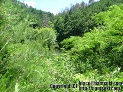 広芝池 / ひろしばいけ(奈良県)