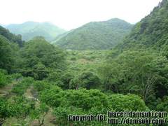 大正池 / たいしょういけ(和歌山県)