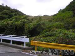 牛ヶ迫池 / うしがさこいけ(山口県)
